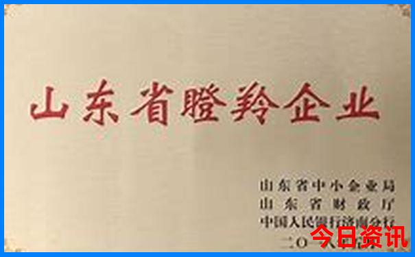扬州有什么好玩的地方旅游景点