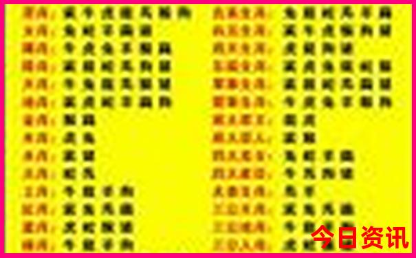 新澳门2025今晚